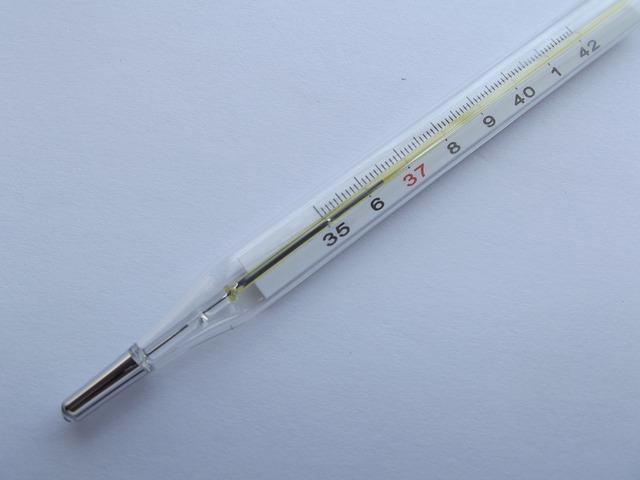 Avec la varicelle, la température augmente Avec la varicelle, la température augmente
