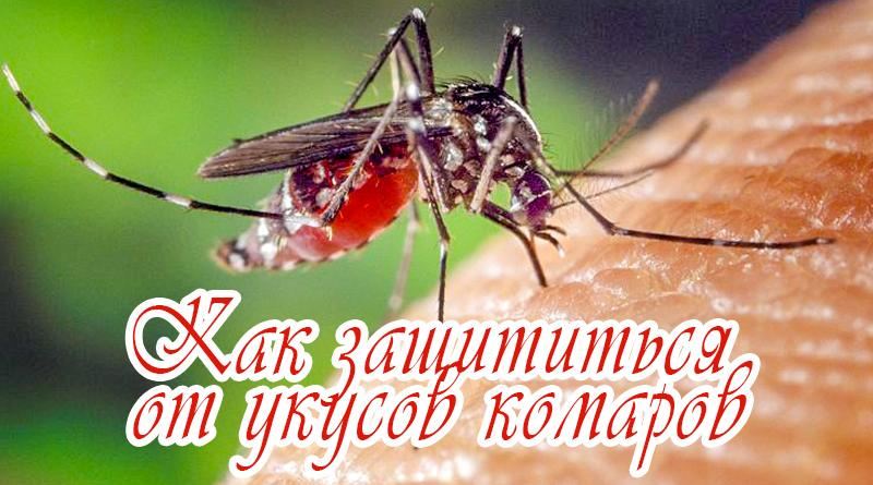 Comment se débarrasser des moustiques