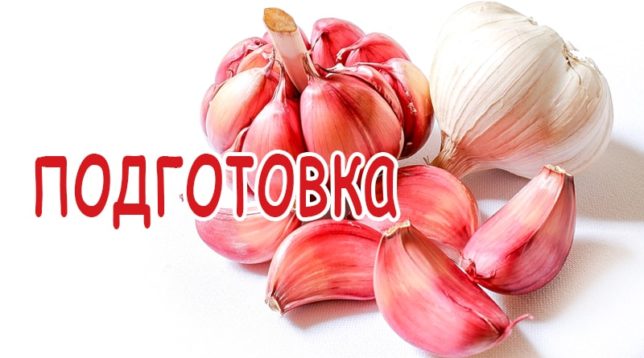 Knoblauchzehen