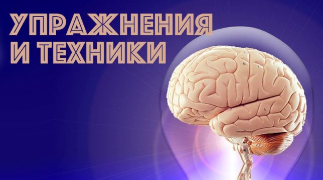 Мозъчна активност