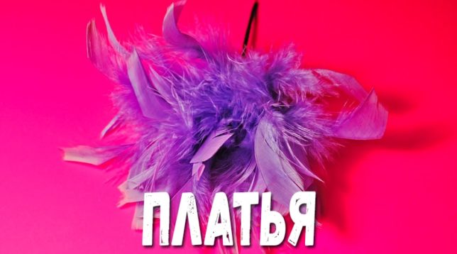 Plumes colorées