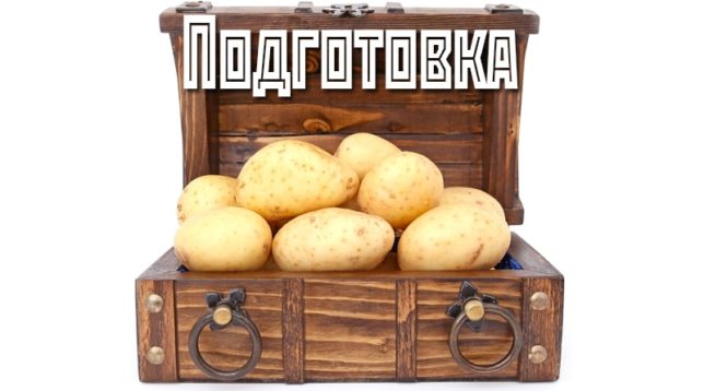 Pomme de terre