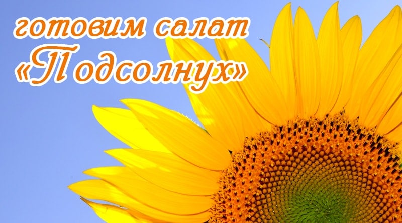 Tournesol