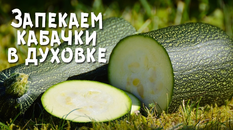 Courgettes dans le jardin
